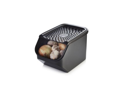 onion garlic smart 2204 2596