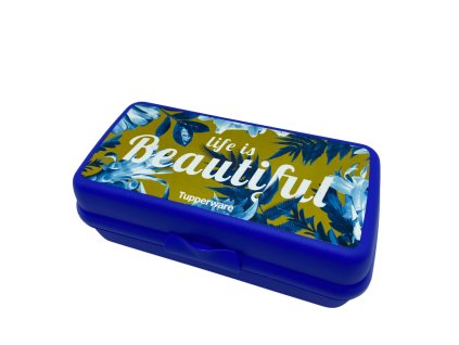 Svačinový box - Beautiful a Dora