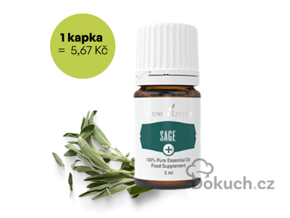 SAGE - ŠALVĚJ - Salbei