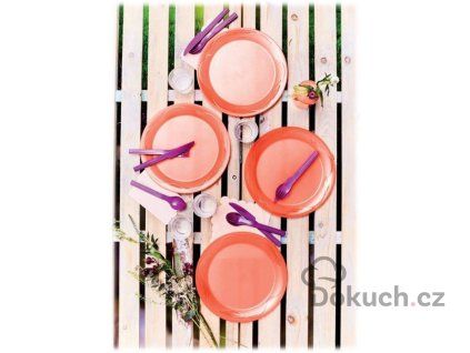 Variace talíře + příbory  na cesty - piknik tupperware
