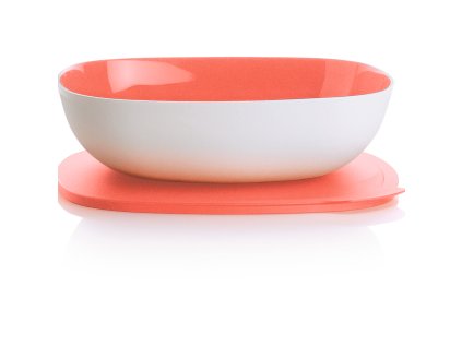 tupperware emea mkg 2206 2004
