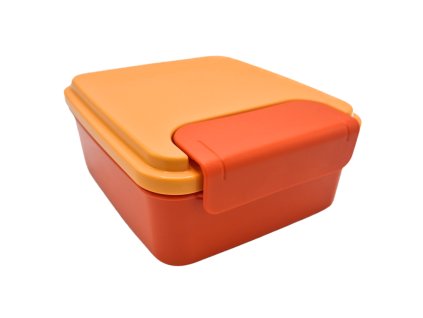 Svačinový box velký
