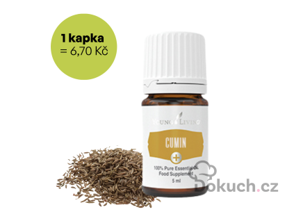 Kmín cumin