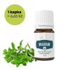 MARJORAM - MAJORÁNKA - Majoram