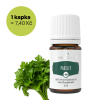 PARSLEY - Petržel