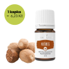 NUTMEG - Muškátový oříšek