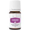 Cardamom