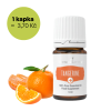 TANGERINE - Mandarinka