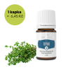 THYME -TYMIÁN - Thymian