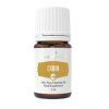 Kmín římský do kuchyně i difuzéru | Young Living