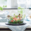Průzračná mísa s víkem 2,4l salát