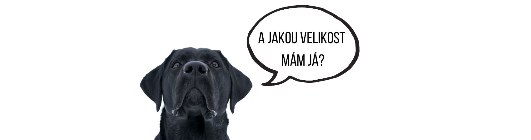 A-jakou-mám-velikost-já_