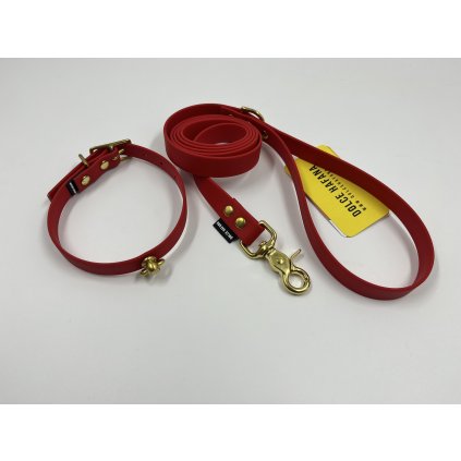 Set Tradiční obojek ID TAG s úchytem na známku + vodítko 150 cm