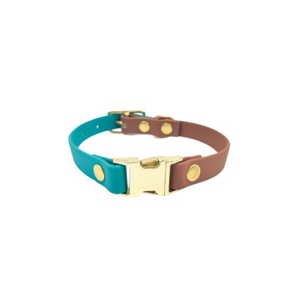 PhotoRoom 20200929 185406