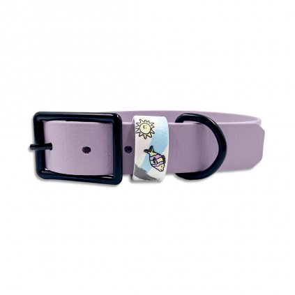 PhotoRoom 20230612 151210