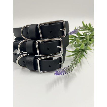 Tradiční obojek pro psa Standard 2.5 cm černý s nerezovým kováním