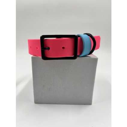 Tradiční obojek pro psa Standard 2.5 cm neon růžová & tyrkysová