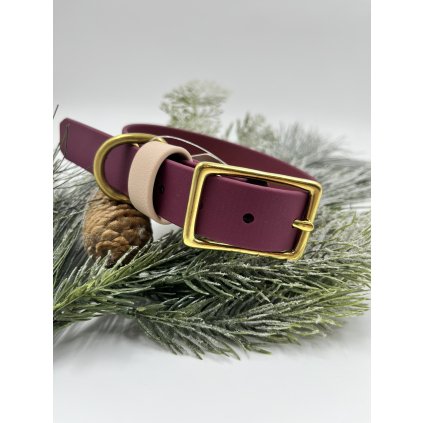 Tradiční obojek pro psa Standard 2.5 cm vínová & krémová 2. jakost