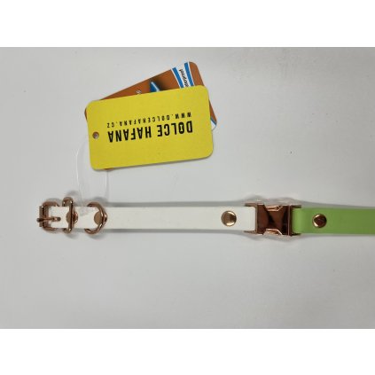 KLIK obojek pro psa Mini 1.6 cm mentolová & bílá