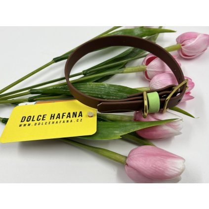 Tradiční obojek pro psa Mini 1.6 cm tmavě hnědá & mentolová