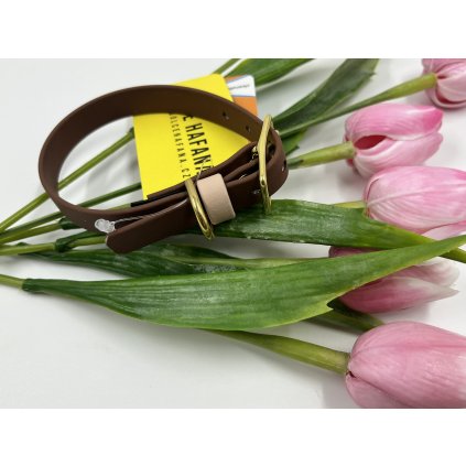 Tradiční obojek pro psa Mini 1.6 cm tmavě hnědá & krémová