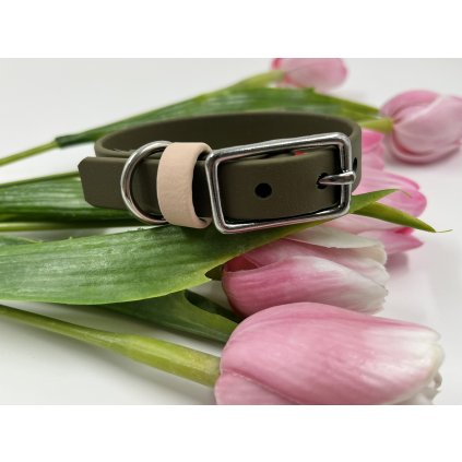 Tradiční obojek pro psa Mini 1.6 cm olivová & krémová