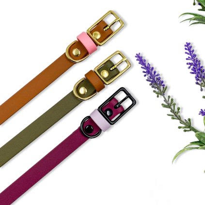 20230815 070606517 iOS