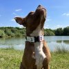 summer tactical bella
