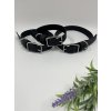 Tradiční obojek pro psa Mini 1.6 cm černá XXS 20 - 26 cm