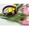 Tradiční obojek pro psa Mini 1.6 cm tmavě hnědá & krémová 24-30cm