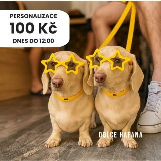 BLESKOVÁ AKCE!!! Přidej si jméno a/nebo telefon za akčních 100Kč s kódem POTISK100 Platí na všechny typy obojků a...