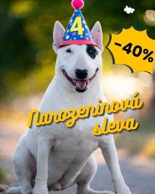 Sííí-ííí-ooooou má narozeniny! Mýýý máme přání jediný! Štěstí, zdraví, štěstí zdraví, hlavně to zdraví! A k tomu OBOJKY!...