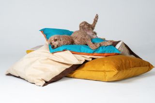 Naše švadlenka Jana pro vás ušila tyhle čupr pohodlné nové pelíšky! 😎A než je dáme do ofiko prodeje, máme pro vás za...