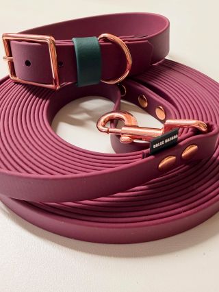 Krásné pondělí! ❤️💚 #biothane #smallbusiness #dogcollars