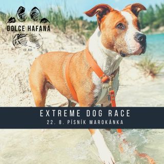 Vyrážíme do nám neznámých vod! 🤪 V sobotu jedeme podpořit dvounohé i čtyřnohé sportovce na @extremedograce Dog Biatlon a...