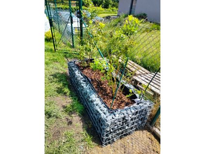 Antracit Amfibolit 32-63 mm