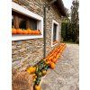 Dýně Halloween