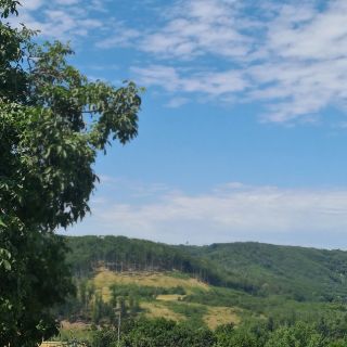 Při pohledu z altánu, trochu přírodní inspirace #priroda #vlna #zelená #pleteni #relax #svetr #dolna.cz #holstgarn #wool...