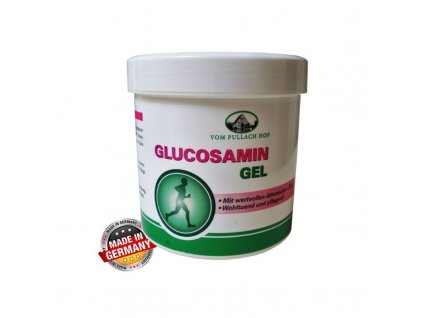 Glukosamin gel 250 ml