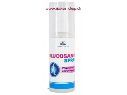 Glucosamin spray 100 ml