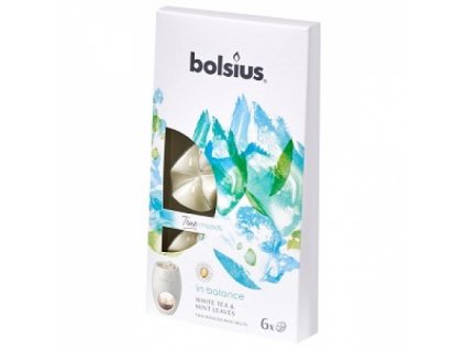 Aroma vosk do keramickej lampy / 6 ks In balance