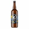 Pivo Nachmelená opice Sun APA 12° sklo