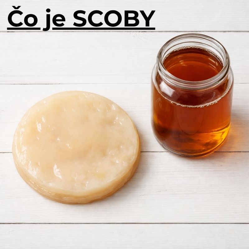 Čo je SCOBY a ako funguje? Všetko, čo potrebujete vedieť