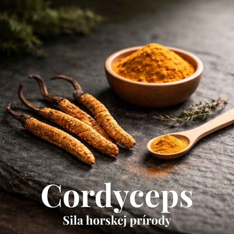 Cordyceps – sila horskej prírody