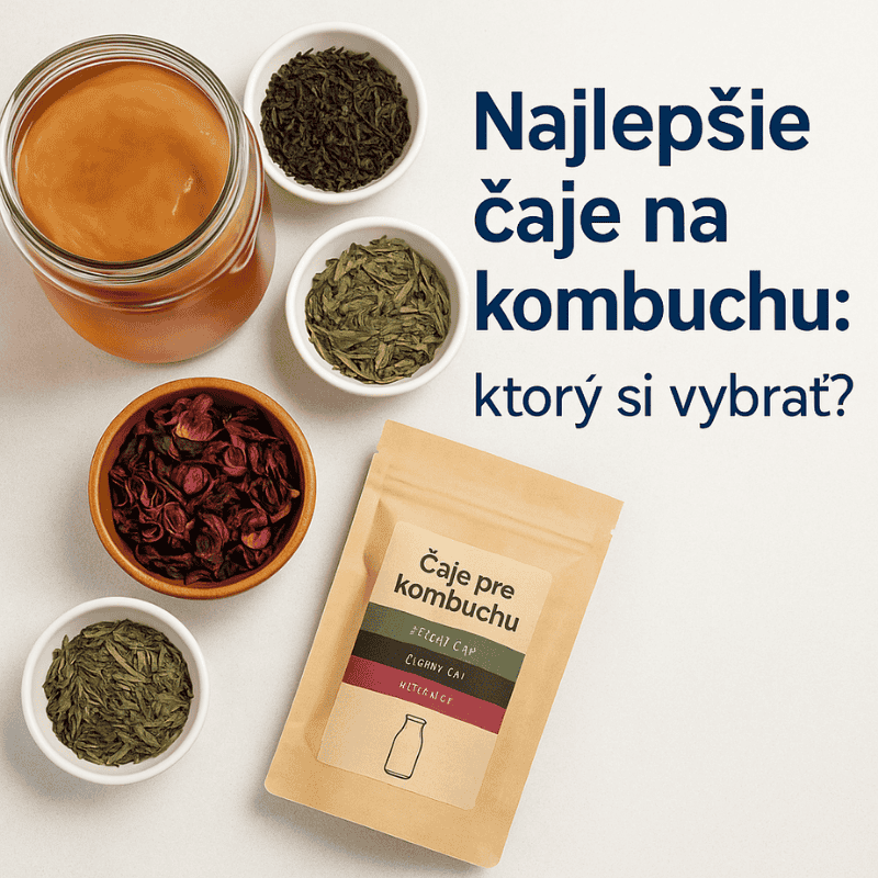 Najlepšie čaje na kombuchu – sprievodca