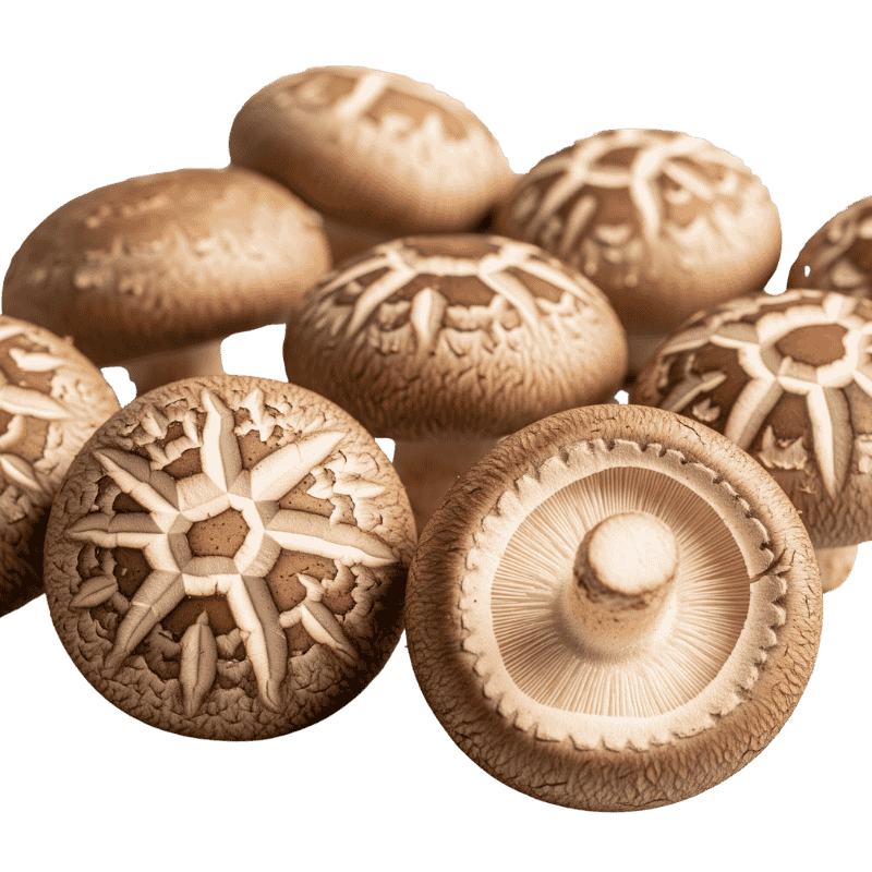 Shiitake