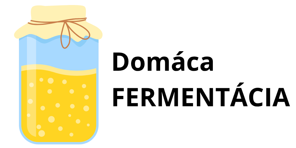 domacafermentacia.sk