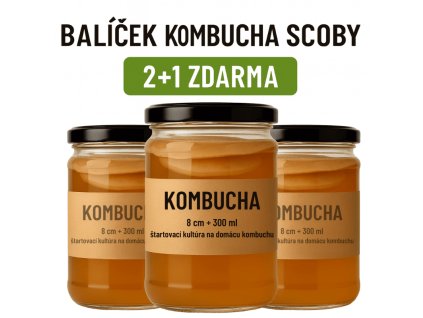 Kombucha SCOBY balíček – 3 kusy za cenu 2