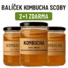 Kombucha SCOBY balíček – 3 kusy za cenu 2