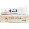 DXN Ganozhi Toothpaste 150g 1
